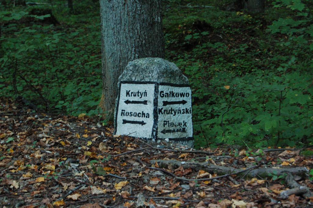 Stara Papiernia Zielony Lasek Krutynski Piecek Экстерьер фото